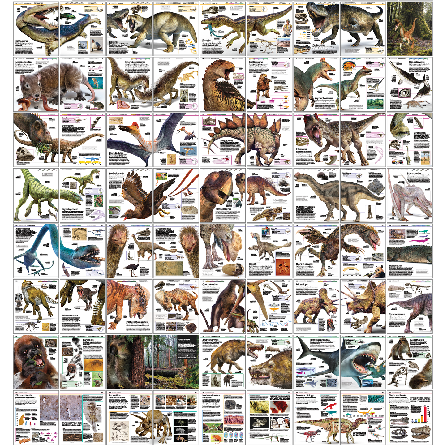 Dinasour Prehistoric Ebook 1000 Pages