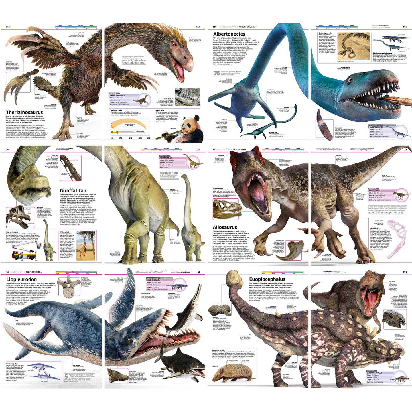 Dinasour Prehistoric Ebook 1000 Pages