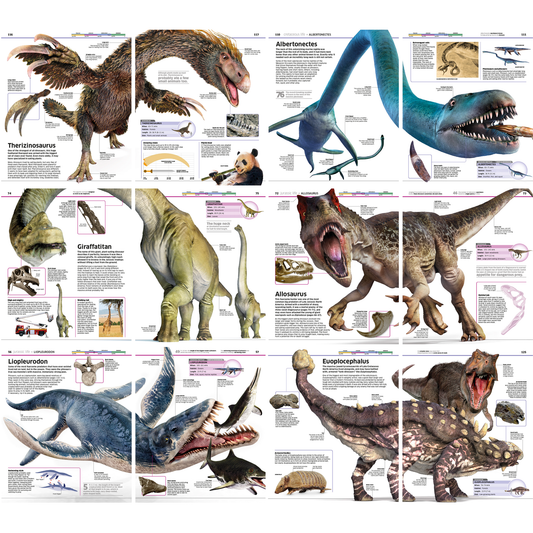 Dinasour Prehistoric Ebook 1000 Pages